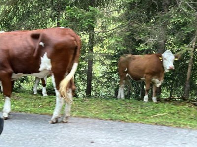 Apartment Ferienhaus mit Seeblick - Outdoor photo 21