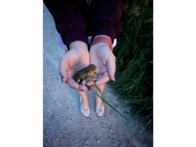 Apartment Ferienhaus mit Seeblick - Outdoor photo 22