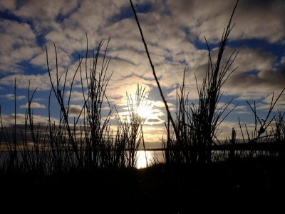 Holiday house 6 Personen Ferienhaus in Ebeltoft - Outdoor photo 18
