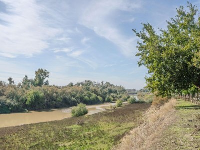 Apartment Apartment in Peñaflor with Charming Patio - Environment photo 38