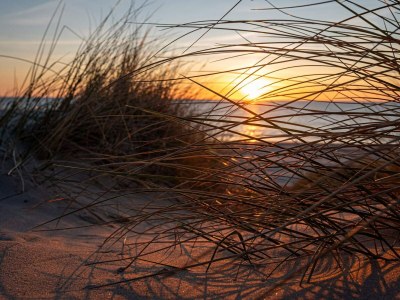 Holiday house Modernes Strandrefugium -- By Traum Ferienwohnungen - Outdoor photo 45