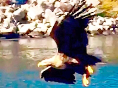 Holiday house 6 Personen Ferienhaus in Urangsvåg - Outdoor photo 16