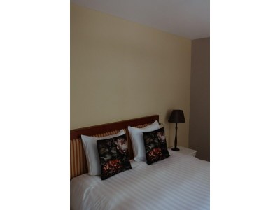 Apartment Valkenburg Apartment in der Nähe des Stadtzentrums - Features photo 16