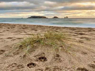 Apartment Wohnung in Spanien nahe Sandstrand - Environment photo 20