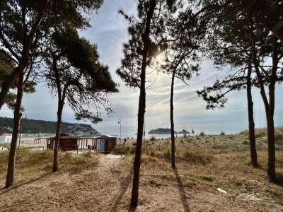 Apartment Beachfront Apartment in Estartit with Garden - Environment photo 24