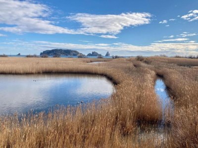 Apartment Beachfront Apartment in Estartit with Garden - Environment photo 33