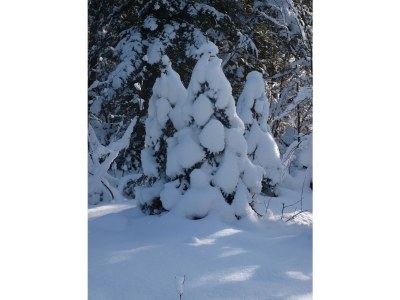 Holiday apartment in the guest-house Wolfgang - Environment photo 12