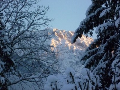 Holiday apartment in the guest-house Wolfgang - Environment photo 13