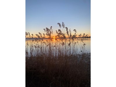 Holiday apartment in the guest-house Wolfgang - Environment photo 15