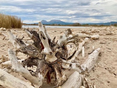 Apartment Wohnung am Strand in Spanien - Environment photo 30