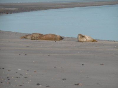 Holiday house No title - Environment photo 15