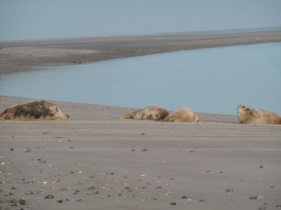 Holiday house No title - Environment photo 15