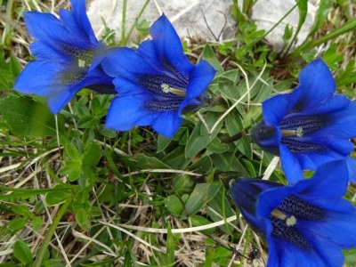 Apartment Ferienappartement Schönblick - Outdoor photo 7