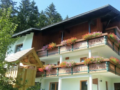 Apartment Appartement 3 in Bad Mitterndorf - Apartment