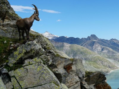 Apartment 2-Bettwohnung - Outdoor photo 7