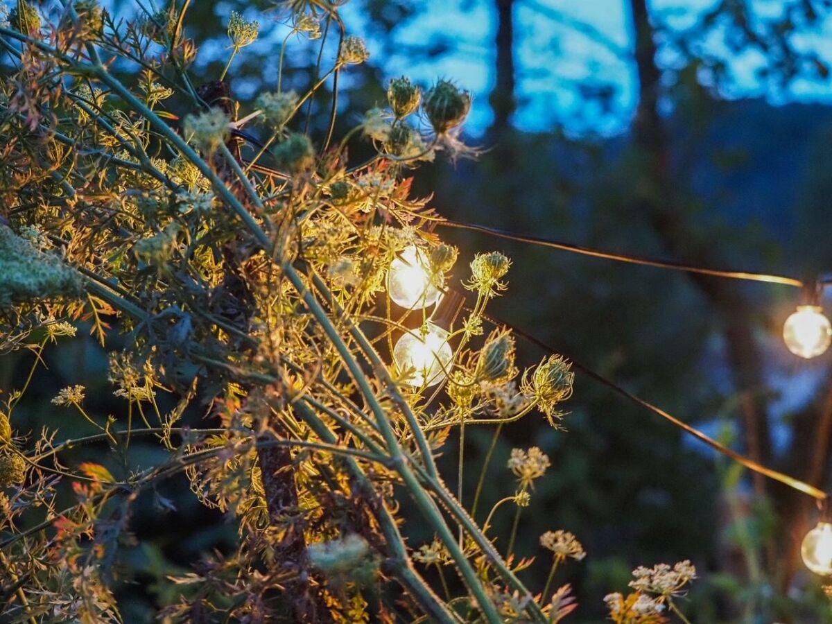 Apartment Appartement/Fewo, Dusche, WC, 1 Schlafraum - Outdoor photo 3