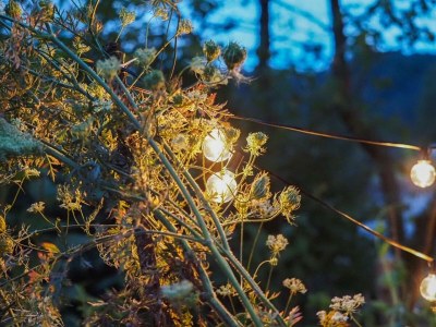 Apartment Appartement/Fewo, Dusche, WC, 1 Schlafraum - Outdoor photo 3