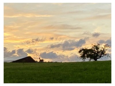Apartment Appartement/Fewo, Dusche, WC, 1 Schlafraum - Outdoor photo 4