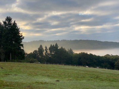 Apartment Appartement/Fewo, Dusche, WC, 1 Schlafraum - Outdoor photo 5