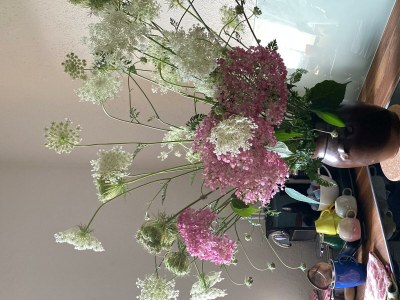 Apartment Appartement/Fewo, Dusche, WC, 1 Schlafraum - Features photo 14