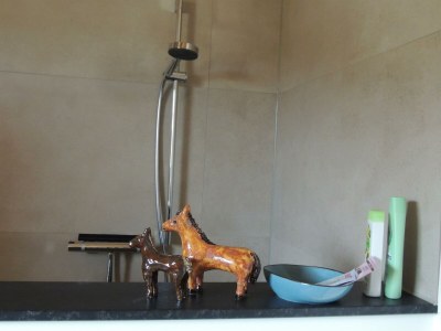 Apartment Appartement/Fewo, Dusche, WC, 1 Schlafraum - Features photo 23