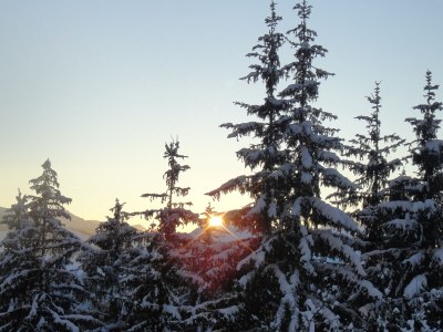 Apartment Aufi Gehts - Environment photo 20