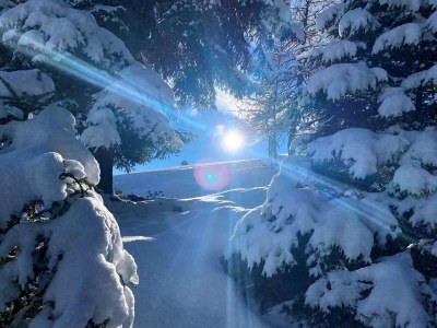 Apartment Aufi Gehts - Environment photo 21