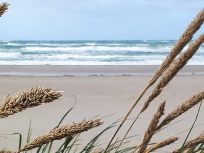 Holiday house 5 Sterne Ferienhaus in Løkken - Outdoor photo 12