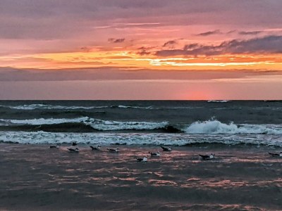 Holiday house 5 Sterne Ferienhaus in Løkken - Outdoor photo 13