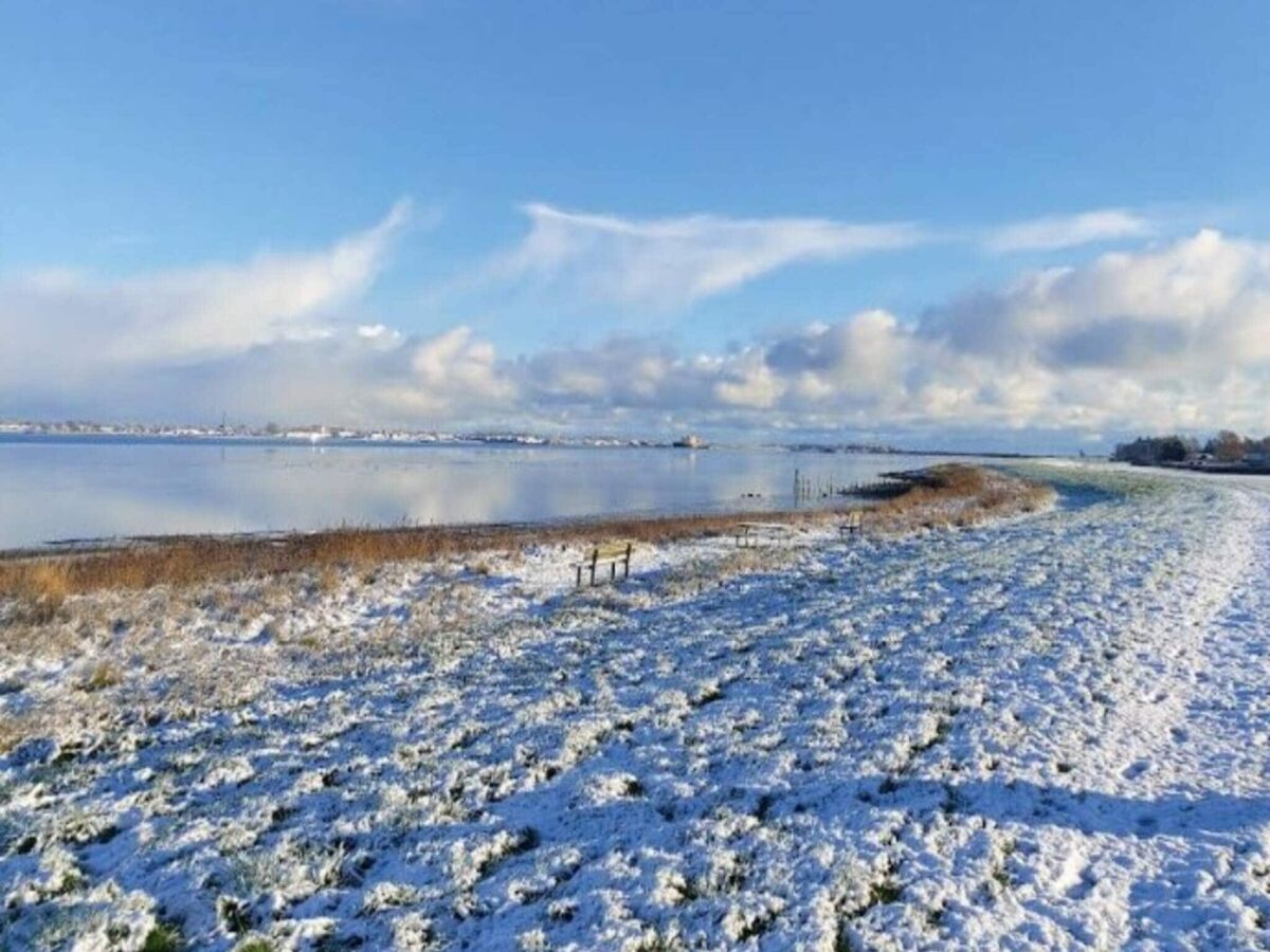 Holiday house 5 star holiday home in Hirtshals - Outdoor photo 4