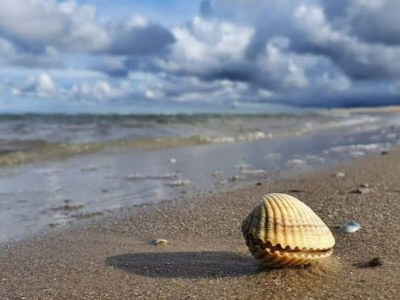 Holiday house 5 star holiday home in Hirtshals - Outdoor photo 18