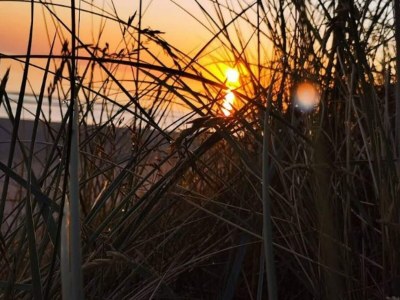 Holiday house 5 star holiday home in Hirtshals - Outdoor photo 20