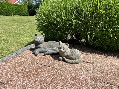 Bungalow Haus Lilly on Texel - Outdoor photo 5