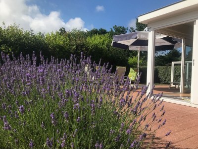 Bungalow Haus Lilly on Texel - Outdoor photo 6