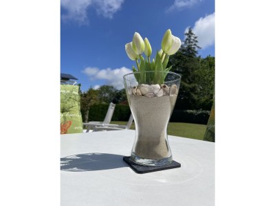 Bungalow Haus Lilly on Texel - Outdoor photo 7