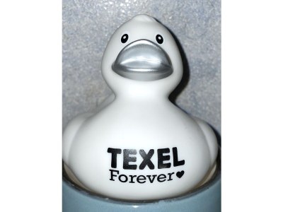 Bungalow Haus Lilly on Texel - Environment photo 31