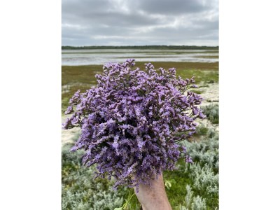 Bungalow Haus Lilly on Texel - Environment photo 33