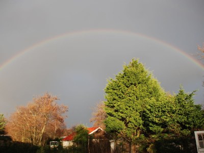Bungalow Haus Lilly on Texel - Environment photo 35