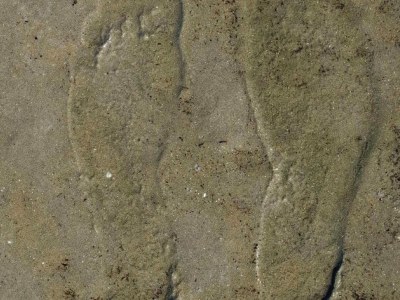 Bungalow Haus Lilly on Texel - Environment photo 37