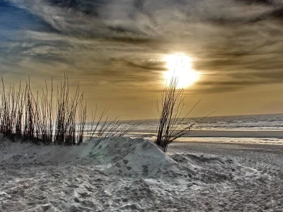 Bungalow Haus Lilly on Texel - Environment photo 39