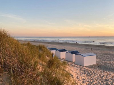 Bungalow Haus Lilly on Texel - Environment photo 43