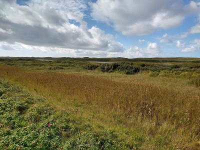 Holiday house 4 star holiday home in Thyborøn - Outdoor photo 37