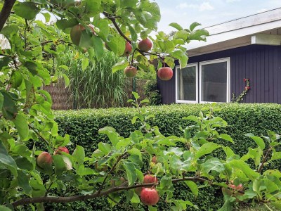 Holiday house 6 person holiday home in Dronningmølle - Outdoor photo 40