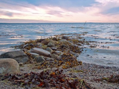 Holiday house 5 star holiday home in Bogense - Outdoor photo 37