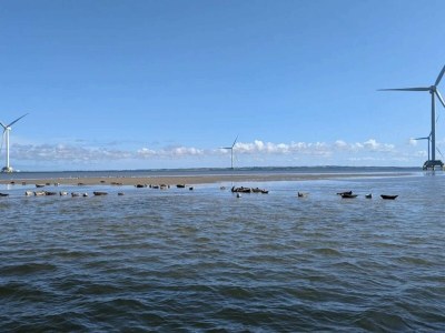 Holiday house 4 person holiday home in Thyborøn - Outdoor photo 24