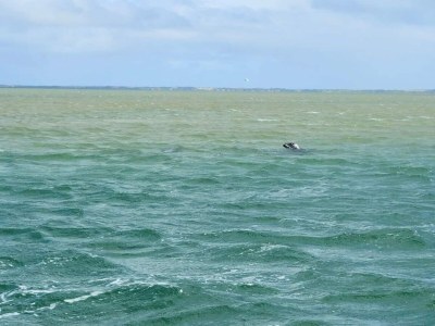 Holiday house 4 person holiday home in Thyborøn - Outdoor photo 28