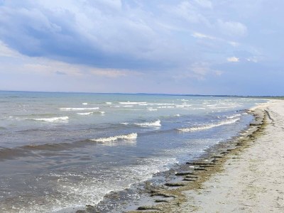 Holiday house 4 Sterne Ferienhaus in Ålbæk - Outdoor photo 22