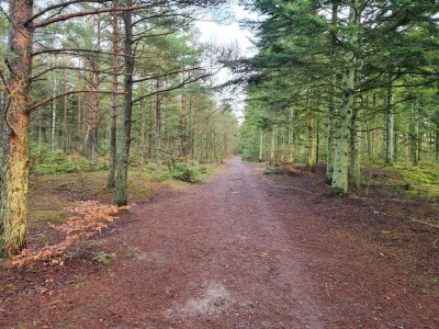 Holiday house 4 Sterne Ferienhaus in Ålbæk - Outdoor photo 31