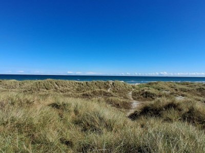 Holiday house 4 Sterne Ferienhaus in Ålbæk - Outdoor photo 34