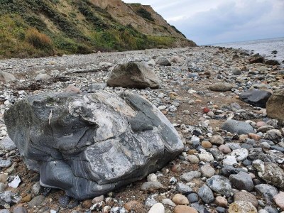 Holiday house 6 Personen Ferienhaus in Løgstør - Outdoor photo 39
